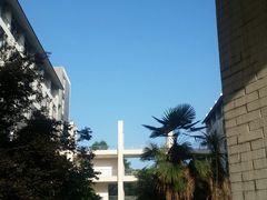 -成都中医药大学(温江校区)