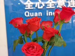 -全心全意连锁动物医院·微创中心·内科急重症·心脏专科(丰管路店)