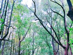 -尚湖风景区