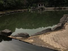 -广州市帽峰山景区