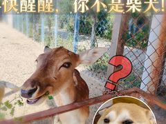 -南海子公园