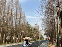 -阳光海岸露营公园