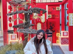 -茯茶镇
