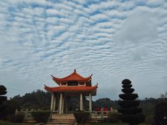 -深圳仙湖植物园