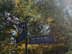 -五营红松林海景区