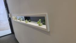 -妈妈时光机医疗产后修复(南山茂业百货店)