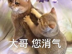 -大学城夜市