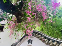 -深圳国际园林花卉博览园