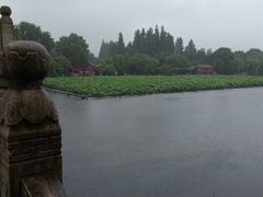 -西湖外事游船(花港观鱼码头)