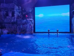 -芜湖新华联大白鲸海洋公园