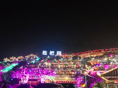 -枇杷园食为鲜火锅(南山店)