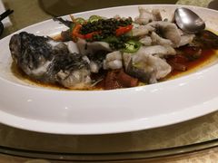 藤椒东星斑-绿岛国际酒店·海鲜酒楼(八七路店)