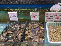 -宝燕壹号(徐汇店)