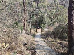 -青龙山国家森林公园