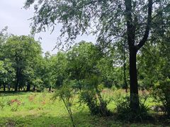 -秦始皇帝陵博物院-丽山园