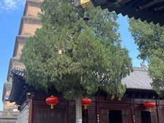 -大慈恩寺(大雁塔)