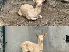 -野鸭湖国家湿地公园