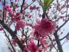 -南京眼步行桥