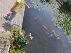 -白马涧龙池景区