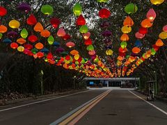 -东南花都花博园