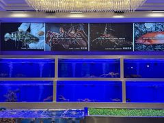-集品堂·JPC餐厅(青年大街市府店)