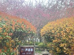 -汤山一号温泉度假区