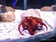 -太平洋海底世界