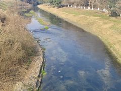 -两河城市森林公园