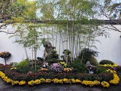-上海醉白池公园