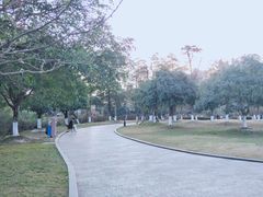 -成都南湖公园