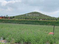 -君乐宝优致牧场