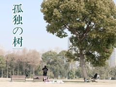 -山明水秀大饭店