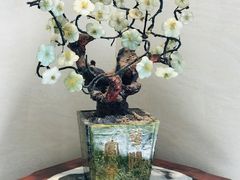 -顺峰(农展馆店)