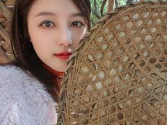 -北海金海湾红树林生态旅游区