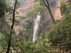 -莫里热带雨林景区