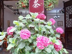 -海窝子古镇