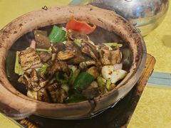 -天宝食坊·啫啫煲大排档(西华路店)