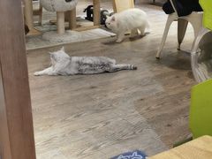 -小时光咖啡馆(开森度假森林店)