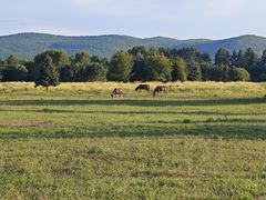 -北极村旅游风景区