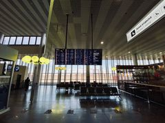 -谢列梅捷沃国际机场