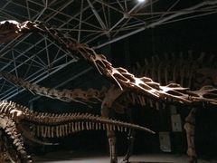 -世界恐龙谷景区