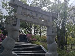 -东湖落雁景区