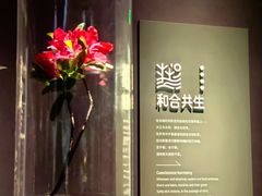 -中国湿地博物馆