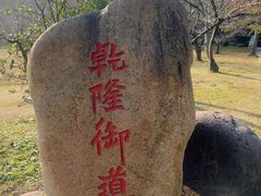 -苏州上方山国家森林公园
