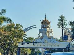 -中国科学院西双版纳热带植物园