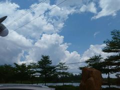 android_upload_pic-寻味肇庆·八姑农庄·广府西江菜