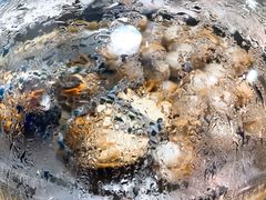 -蔚海之都·象山蒸汽海鲜(仙霞路店)