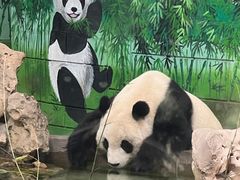 -天津市动物园