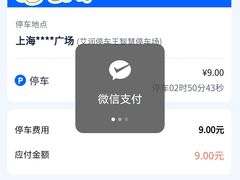 -正大乐城-停车场