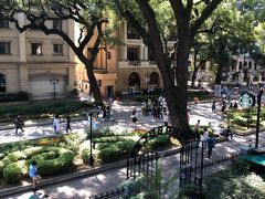 二楼阳台景观-星巴克臻选(广州沙面店)